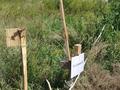 Участок · 10 соток, Садовая 52 — П. Коянды за ~ 4.2 млн ₸ в Астане, р-н Байконур