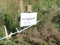 Участок · 10 соток, Садовая 52 — П. Коянды за ~ 4.2 млн ₸ в Астане, р-н Байконур — фото 9