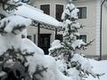 Отдельный дом · 7 комнат · 250 м² · 10 сот., Пер Клубный 15 — Комратова Қойгелды за 115 млн ₸ в Таразе — фото 25