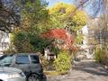 2-комнатная квартира · 40 м² · 1/3 этаж, Радостовца — Уг.ул. Тимирязева за 36 млн 〒 в Алматы, Бостандыкский р-н — фото 19