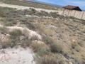 Жер телімі · 7 сотық, Ақшұқыр, бағасы: 6 млн ₸ в  — фото 7