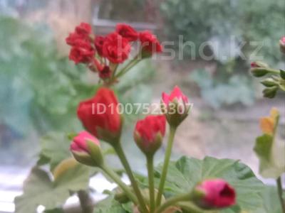 Отдельный дом · 3 комнаты · 70 м² · 3 сот., Затон сатпаева за 14.9 млн 〒 в Семее