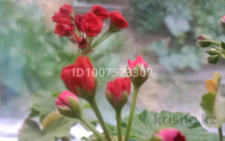 Часть дома · 3 комнаты · 70 м² · 3 сот., Затон Сатпаева за 17 млн 〒 в Семее — фото 2