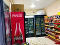 Свободное назначение, магазины и бутики, салоны красоты, медцентры и аптеки, образование · 50 м² за 22 млн ₸ в Шымкенте, Енбекшинский р-н — фото 4