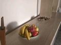 Жеке үй · 5 бөлме · 528 м² · 5.5 жүзд., Ибрагимова 94, бағасы: 11.5 млн ₸ в Арыси — фото 13