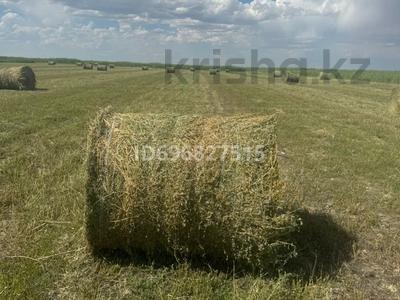 Жер телімі · 50 га, Жамбыл (Жамбыл ауданы), бағасы: 145 млн ₸ в Жамбыл (Жамбылский район)