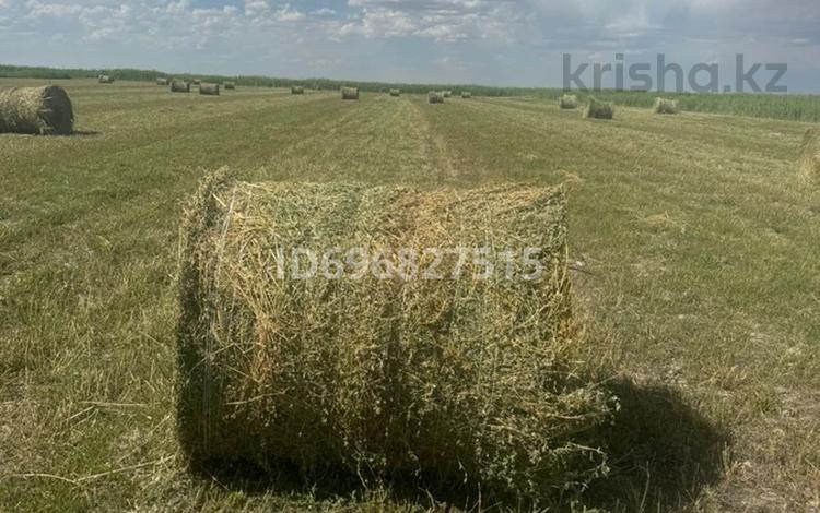Жер телімі · 50 га, Жамбыл (Жамбыл ауданы), бағасы: 145 млн ₸ в Жамбыл (Жамбылский район) — фото 2