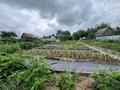 Участок · 8 соток, Мелиоратор 9 за 4.5 млн ₸ в Затобольске (Тобыле) — фото 10