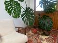3-бөлмелі пәтер · 60 м² · 5/5 қабат, Новаторов 15, бағасы: 21 млн ₸ в Усть-Каменогорске — фото 13