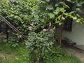 Отдельный дом · 3 комнаты · 60 м² · 3.2 сот., мкр Акбулак — Еспаева 22 за 33 млн ₸ в Алматы, Алатауский р-н — фото 3