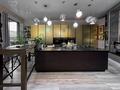 Жеке үй · 4 бөлме · 380 м² · 4 жүзд., Аққайың ш/а. 123/3, бағасы: 200 млн ₸ в Алматы, Медеуский р-н — фото 3
