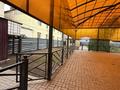 Жеке үй · 7 бөлме · 507.8 м², ул. Жанкент 7, бағасы: 220 млн ₸ в Астане, Алматы р-н — фото 5