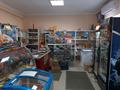 Магазины и бутики • 120 м² за 22 млн 〒 в Таразе — фото 5