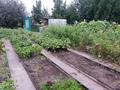 Саяжай · 30 м² · 6 жүзд., Бобровка 5 1578, бағасы: 4 млн ₸ в Семее, Красный Кордон — фото 14