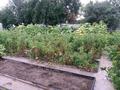 Саяжай · 30 м² · 6 жүзд., Бобровка 5 1578, бағасы: 4 млн ₸ в Семее, Красный Кордон — фото 15