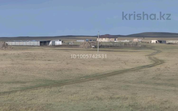Фермерское хозяйство · 3200 м² за 60 млн ₸ в Экибастузе — фото 2