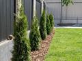 Жеке үй · 7 бөлме · 300 м² · 8 жүзд., Таугүл-3 ш/а., бағасы: 230 млн ₸ в Алматы, Ауэзовский р-н — фото 12