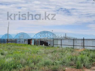 Теплица · 1200 м², бағасы: 30 млн ₸ в Енбекши (Карасайский район)