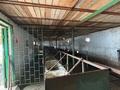 100% оборудованная животноводческая ферма · 3200 м², бағасы: 57 млн ₸ в  — фото 8