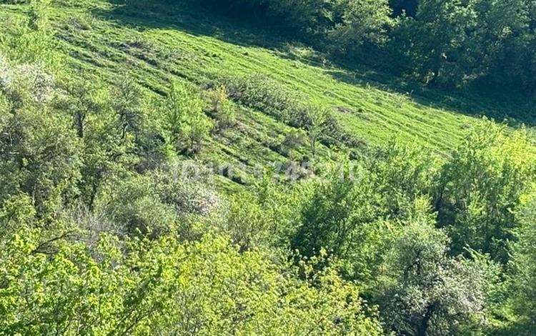 Участок · 2.42 га, мкр Кольсай за 100 млн ₸ в Алматы, Медеуский р-н — фото 2
