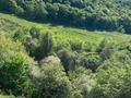Участок · 2.42 га, мкр Кольсай за 100 млн ₸ в Алматы, Медеуский р-н — фото 2
