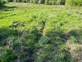 Участок · 2.42 га, мкр Кольсай за 100 млн ₸ в Алматы, Медеуский р-н — фото 5