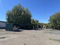 Кафе с собственным участком · 120 м², бағасы: 55 млн ₸ в Баянауле