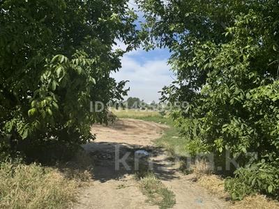 Участок · 8 соток, жилой массив Исфиджаб 664 — Напротив рыбного центра за 15 млн ₸ в Шымкенте, Енбекшинский р-н
