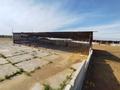 Ауыл шаруашылығы · 245 м², бағасы: 320 млн ₸ в Жаркенте, Алтыуй — фото 17