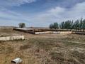 Ауыл шаруашылығы · 245 м², бағасы: 320 млн ₸ в Жаркенте, Алтыуй — фото 18