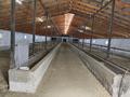Ауыл шаруашылығы · 245 м², бағасы: 320 млн ₸ в Жаркенте, Алтыуй — фото 5
