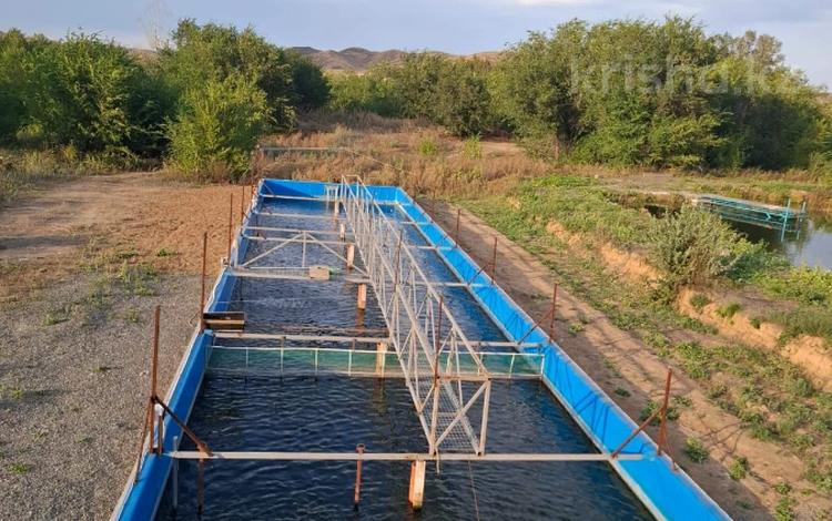 Жер телімі · 25 га, Калдаякова 037, бағасы: 65 млн ₸ в Актобе — фото 2