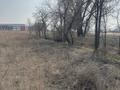 Жер телімі · 400 сотық, 8-я линия 1, бағасы: 45 млн ₸ в Косозен — фото 11