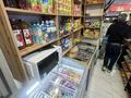 Продуктовый магазин Мини Маркет · 35 м² за 15 млн ₸ в Алматы, Алмалинский р-н — фото 7