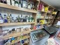 Продуктовый магазин Мини Маркет · 35 м² за 15 млн ₸ в Алматы, Алмалинский р-н — фото 8