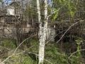 Дача · 2 комнаты · 48 м² · 12 сот., Проектировщик 81 за 11 млн ₸ в Алматинской обл. — фото 5