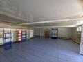 Дүкендер мен бутиктер · 250 м², бағасы: 80 млн ₸ в Кокшетау — фото 6