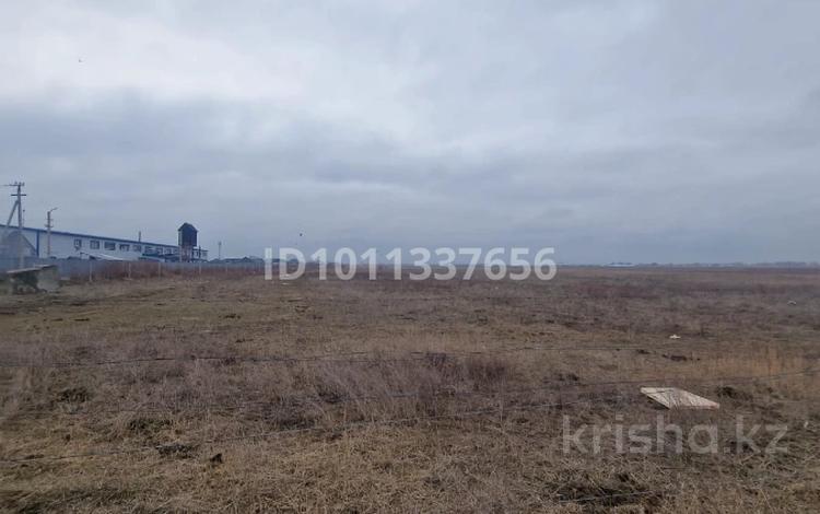 Промбаза · 50 га, Исаево за 290 млн 〒 — фото 2