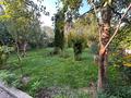 Отдельный дом · 5 комнат · 269.1 м² · 9.18 сот., Кенесары хана — Шаймерденова- Нажимеденова за 175 млн ₸ в Алматы, Бостандыкский р-н — фото 6