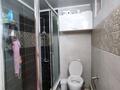 Отдельный дом · 5 комнат · 136 м² · 4 сот., Айша биби — Рыскулова Волочаевская за 55.5 млн ₸ в Алматы, Турксибский р-н — фото 11