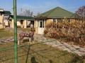 Отдельный дом · 5 комнат · 280 м² · 20 сот., Альфараби 16 за 55 млн ₸ в Ушарале — фото 8