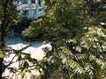 1-бөлмелі пәтер · 35 м² · 3/4 қабат, 4-ш/а. 27 — Вблизи Kaspian Riviera, Атлант, бағасы: 85 000 ₸ в Актау, 4-й мкр — фото 13