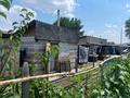 Отдельный дом · 4 комнаты · 80 м² · 5 сот., 10 линия 51 — Восточный угол 10 линии за 18 млн ₸ в Семее, Красный Кордон — фото 13