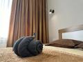 2-бөлмелі пәтер · 60 м² · 11/12 қабат, Тургут Озала 194, бағасы: 20 000 ₸ в Алматы, Алмалинский р-н — фото 29