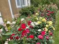 Жеке үй · 6 бөлме · 280 м² · 10 жүзд., Альтаир 29 — Коттеджный городок Альтаир 29, бағасы: 149.8 млн ₸ в Бельбулаке (Мичурино) — фото 34
