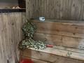 Дача · 4 комнаты · 116 м² · 7 сот., мкр Бозарык — Жылысу 4, ерасыл магазин за 25 млн ₸ в Шымкенте, Абайский р-н — фото 5