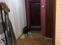 2-комнатная квартира · 44.1 м² · 1/5 этаж, Кабельный пер. 5 за 12 млн ₸ в Семее, Красный Кордон