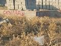 Жер телімі · 9 сотық, Шардара, бағасы: 4 млн ₸ — фото 4