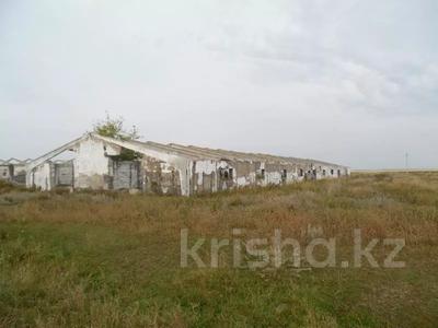 Сельское хозяйство • 1750 м² за 700 000 〒 в Кишкенеколе
