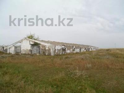 Сельское хозяйство · 1750 м² за 700 000 ₸ в Кишкенеколе
